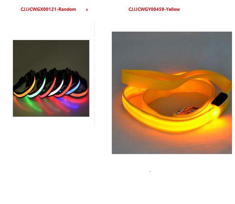 Correa para Perro con LED y Collar Fluorescente para Perro