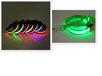 Correa para Perro con LED y Collar Fluorescente para Perro