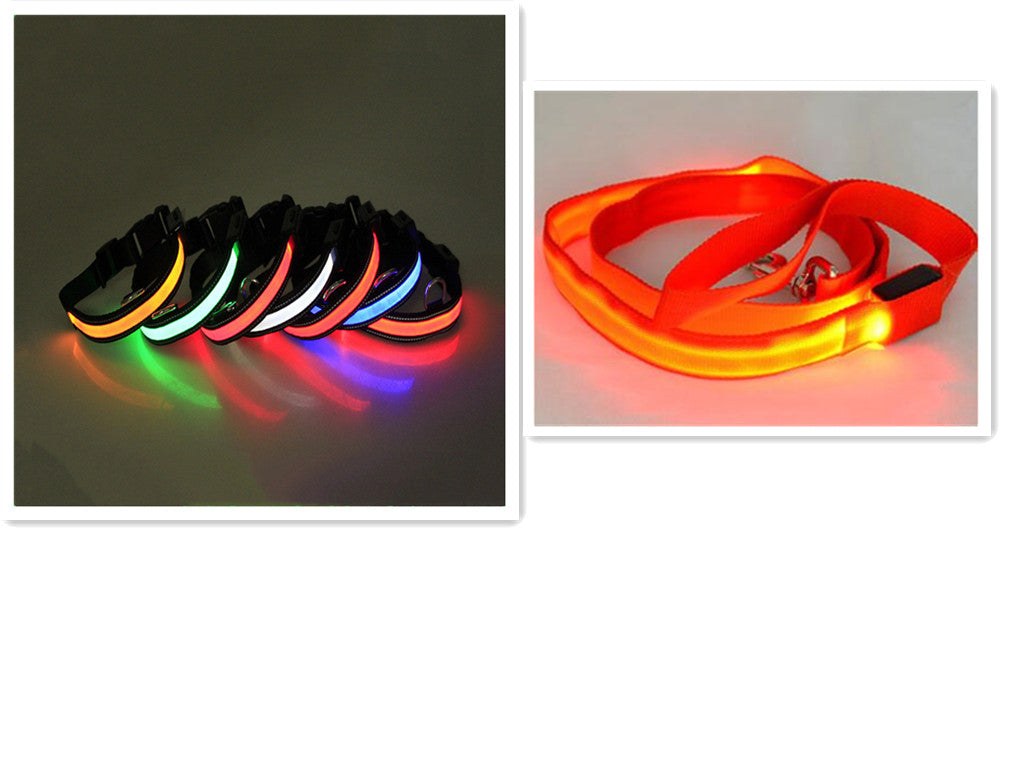 Correa para Perro con LED y Collar Fluorescente para Perro