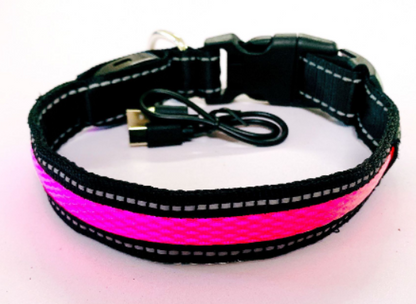 Correa para Perro con LED y Collar Fluorescente para Perro