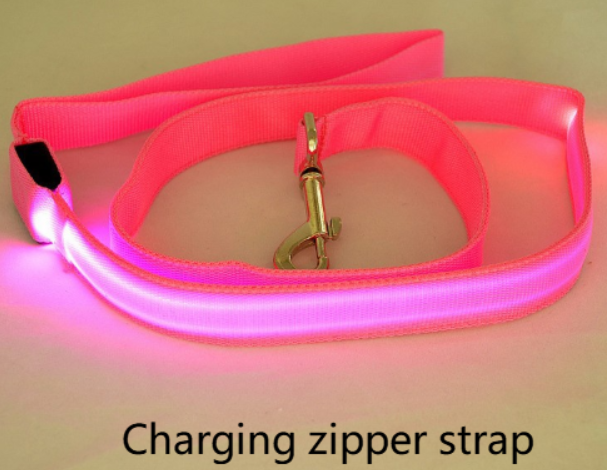 Correa para Perro con LED y Collar Fluorescente para Perro