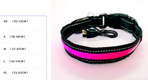 Correa para Perro con LED y Collar Fluorescente para Perro
