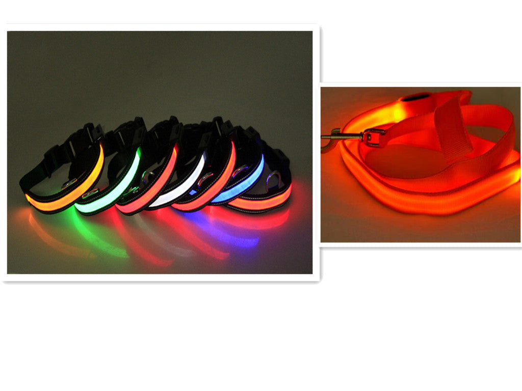 Correa para Perro con LED y Collar Fluorescente para Perro