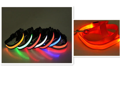 Correa para Perro con LED y Collar Fluorescente para Perro