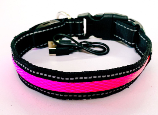 Correa para Perro con LED y Collar Fluorescente para Perro