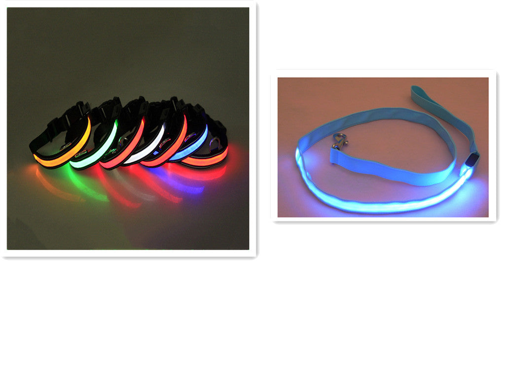 Correa para Perro con LED y Collar Fluorescente para Perro