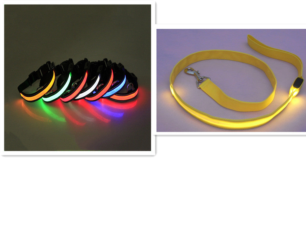 Correa para Perro con LED y Collar Fluorescente para Perro