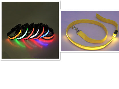 Correa para Perro con LED y Collar Fluorescente para Perro